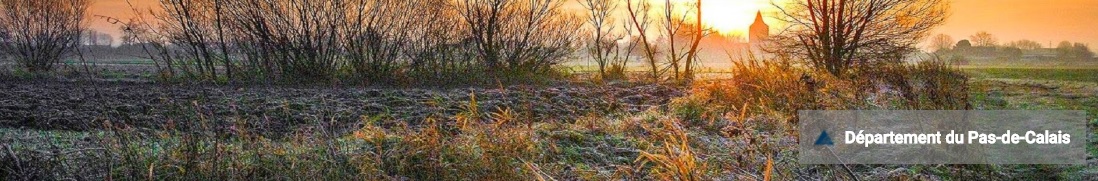 Offre d'emploi : responsable de l'atelier départemental d Offre d'emploi : responsable de l'atelier départemental d