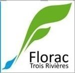 Emploi Collectivites