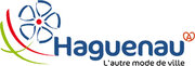 offre emploi territorial Ville de HAGUENAU