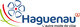 Collectivités Ville de HAGUENAU
