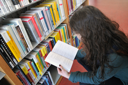 conservateur-des-bibliothèques-1